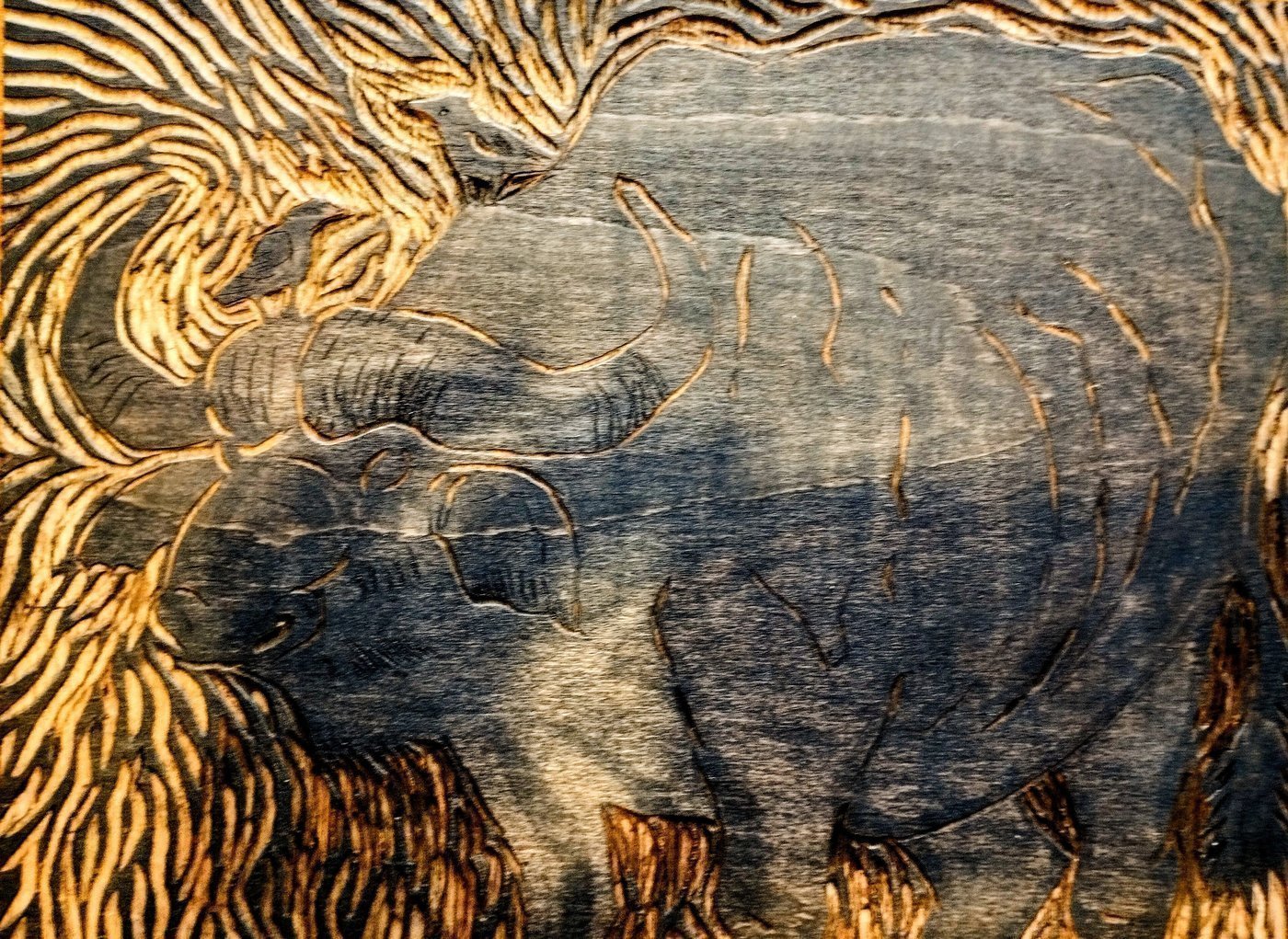 buffalo