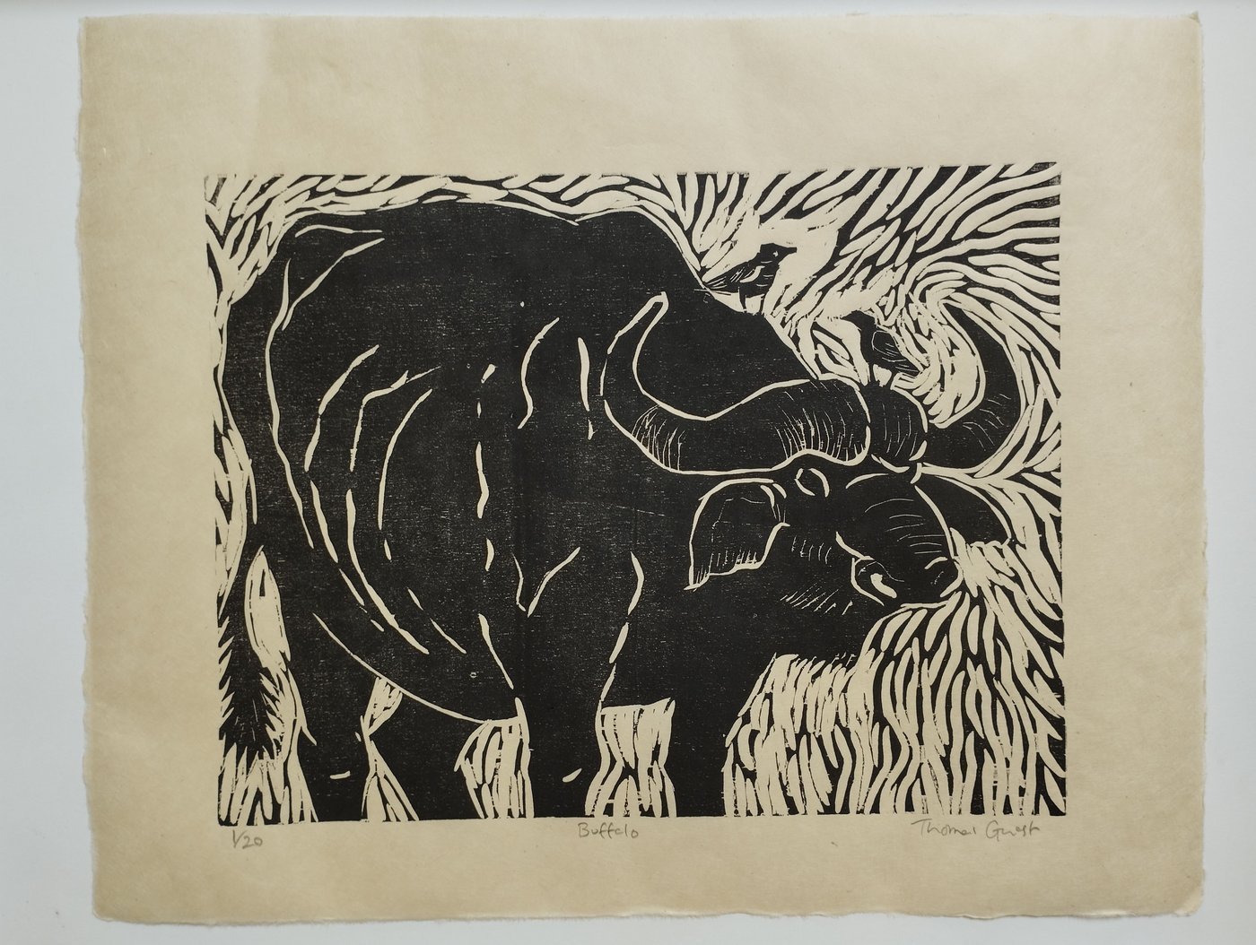 Buffalo Woodcut