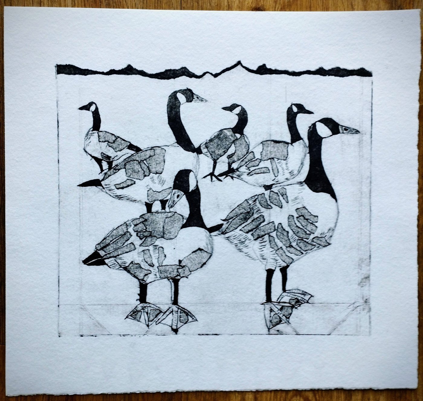 Canada Geese Tetrapak