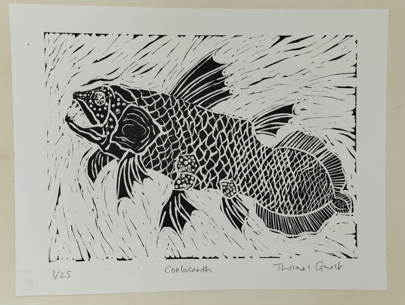coelacanth