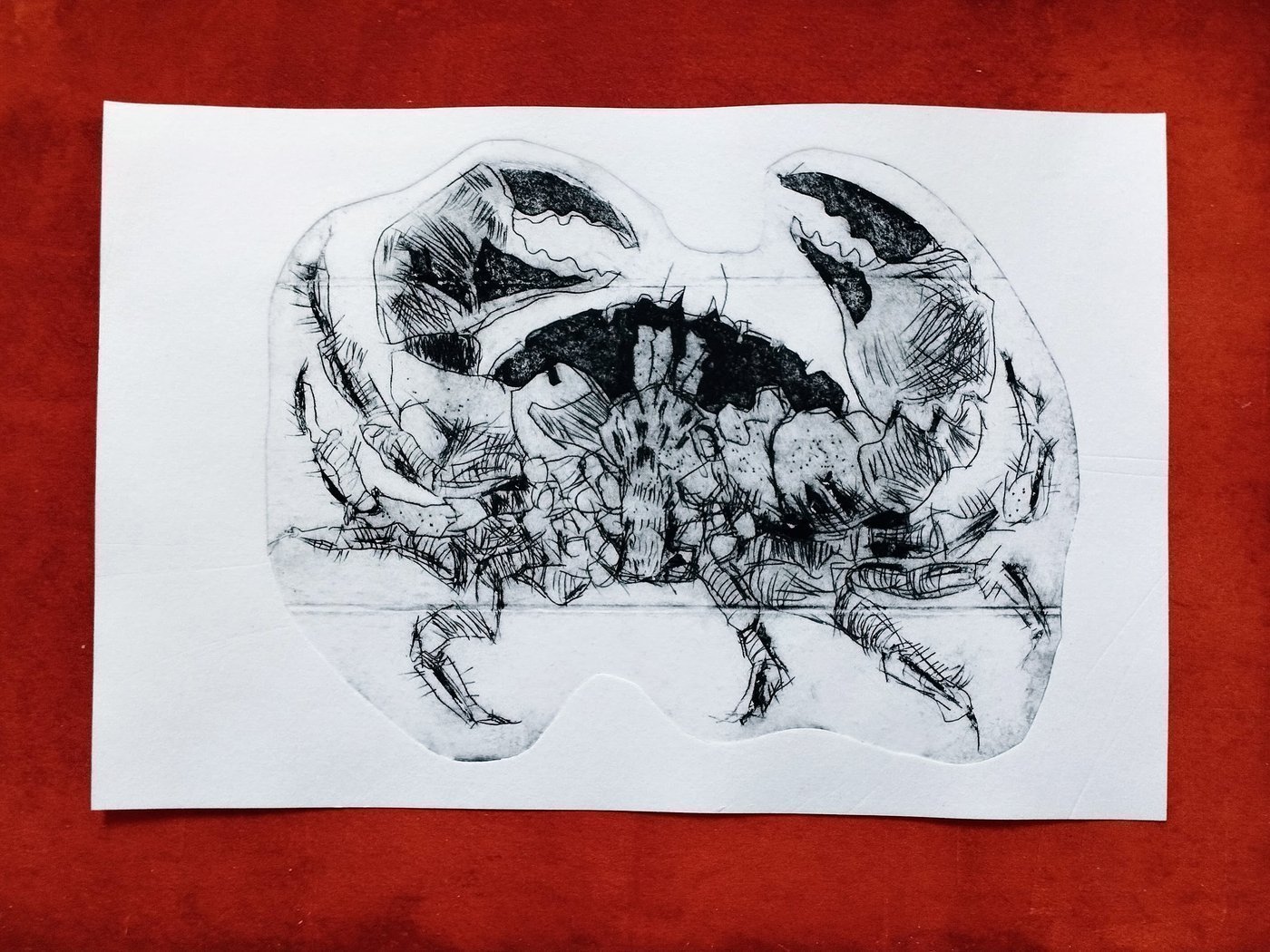 Crab Tetrapak