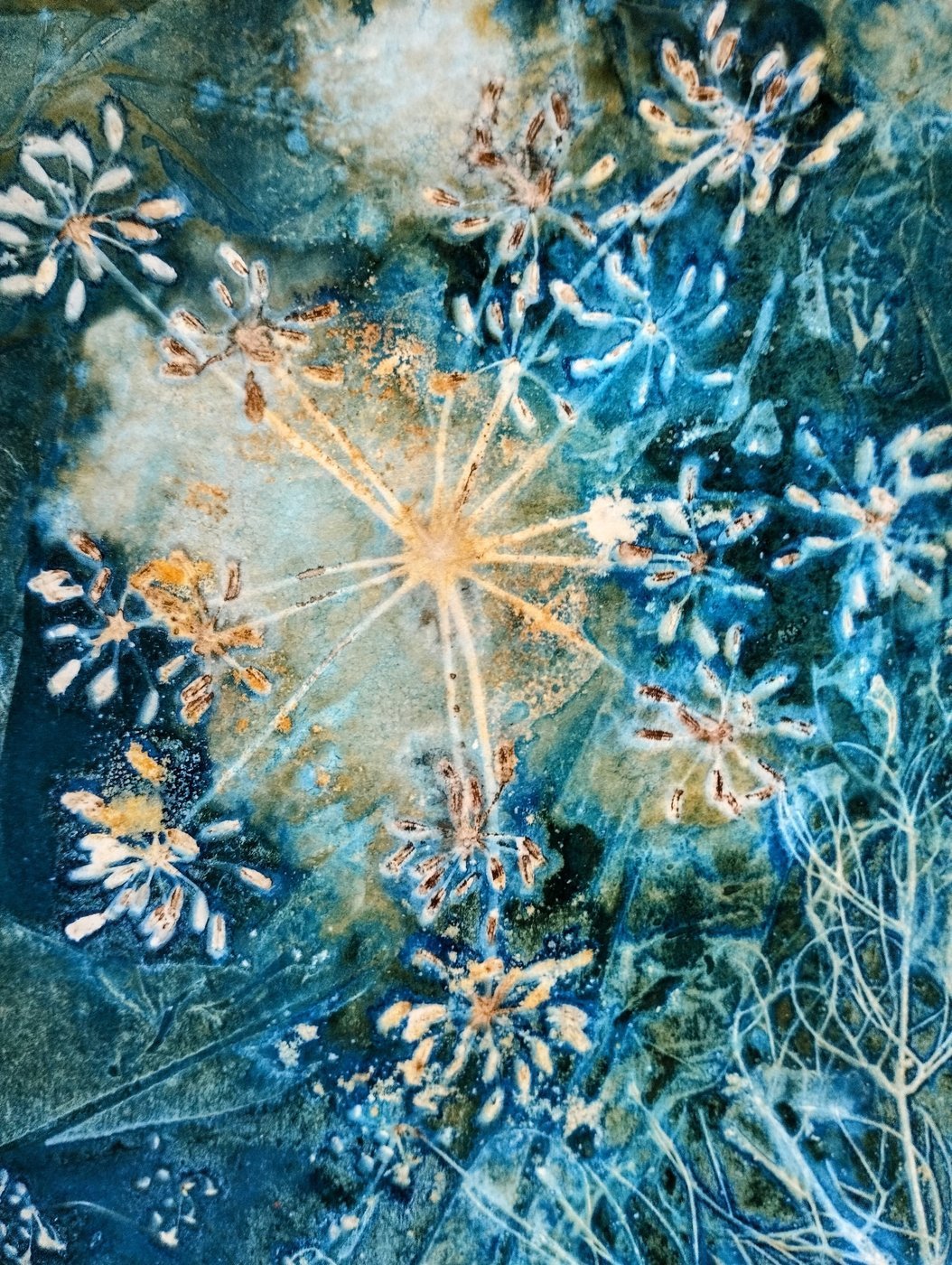fennel cyanotype