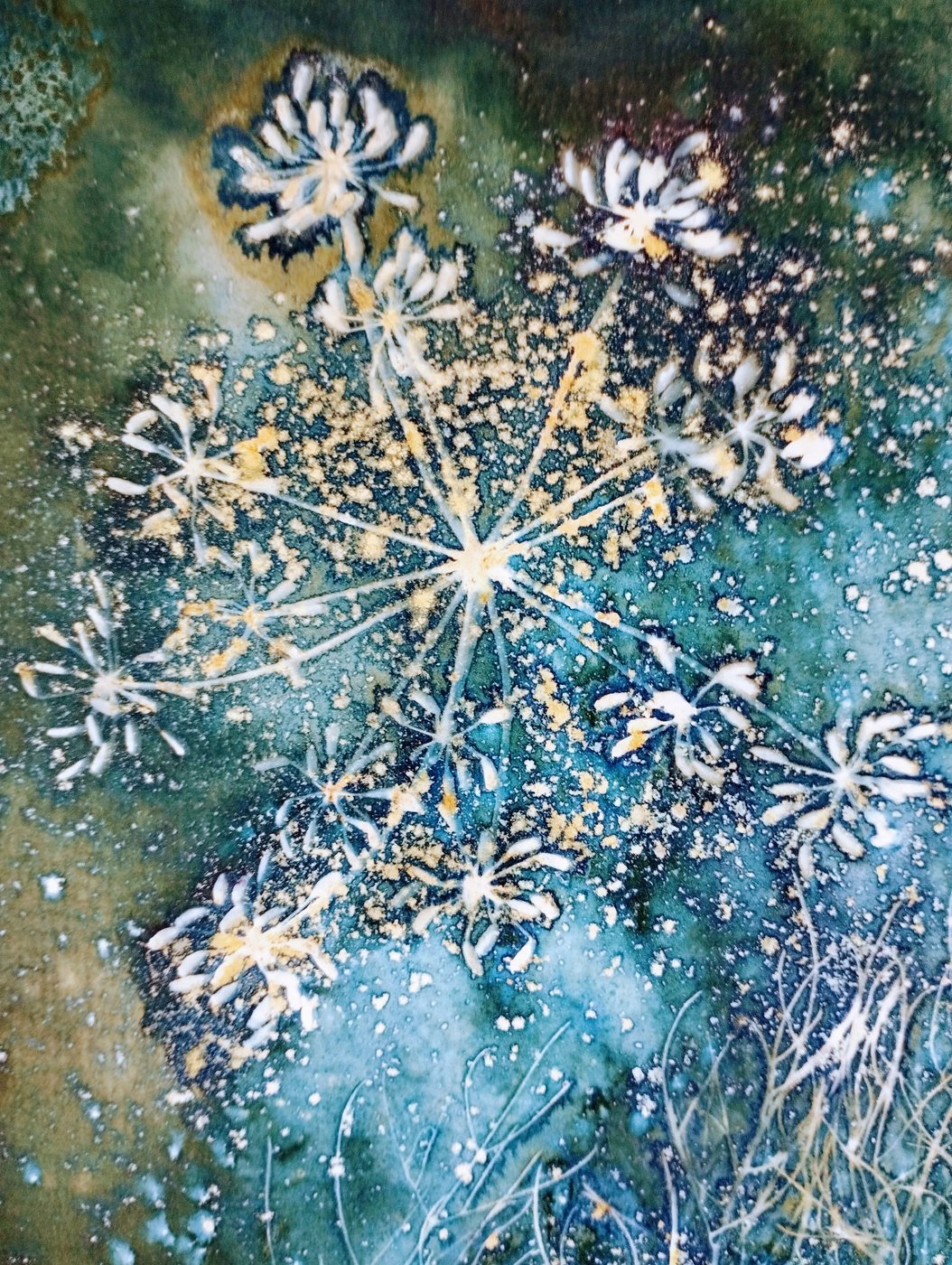 fennel cyanotype
