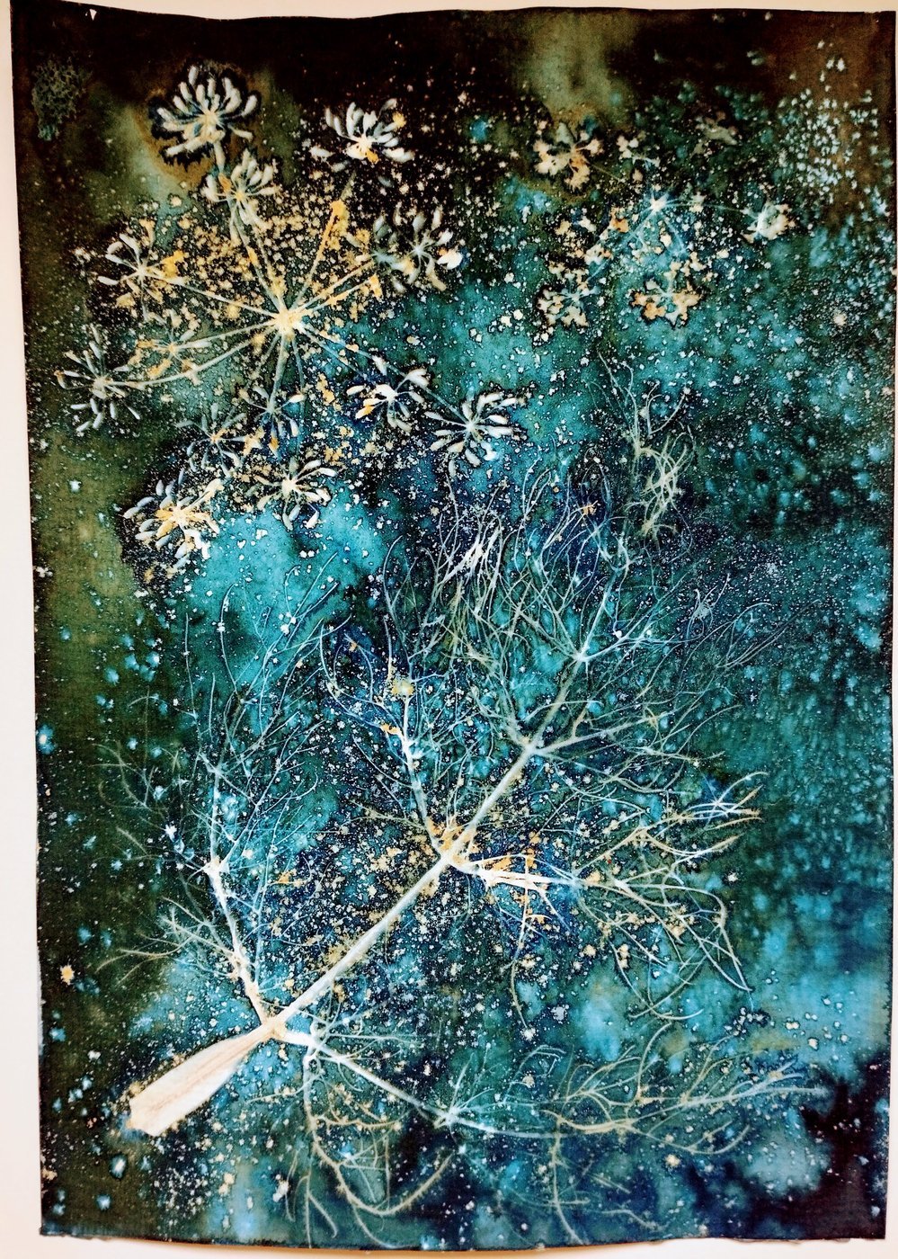 Fennel Cyanotype 2