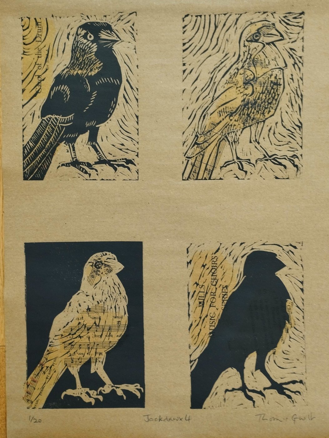 Jackdaw x 4