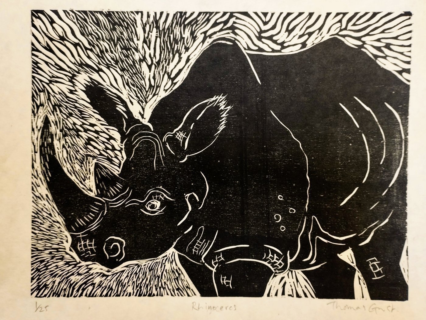 Rhinoceros Woodcut