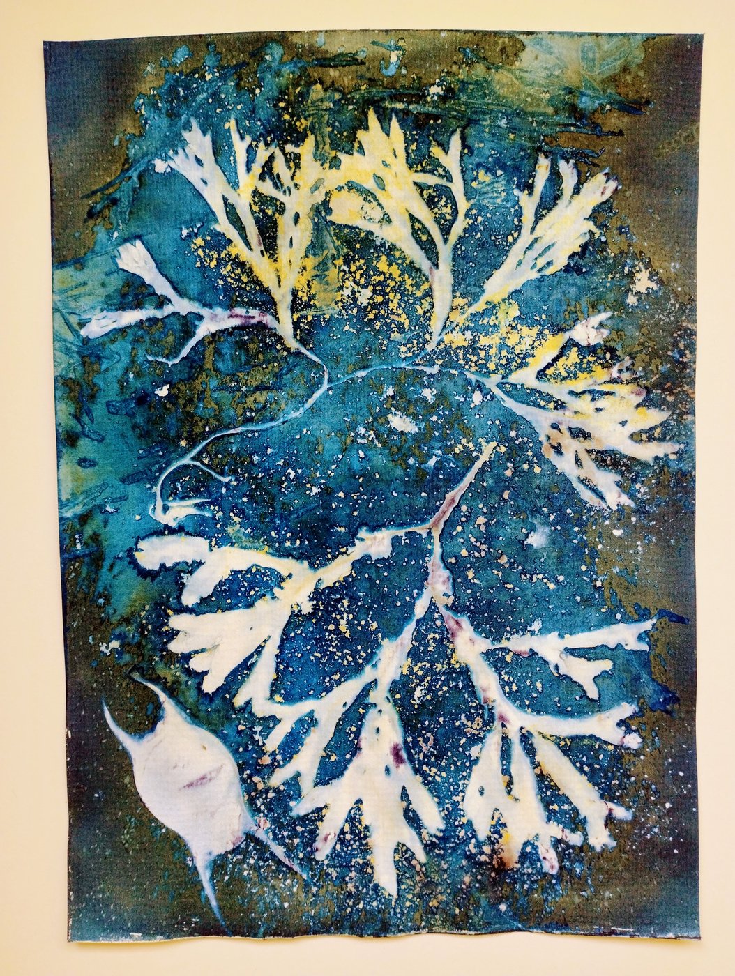 Seaweed and Mermaids Purses Cyanotypes 2