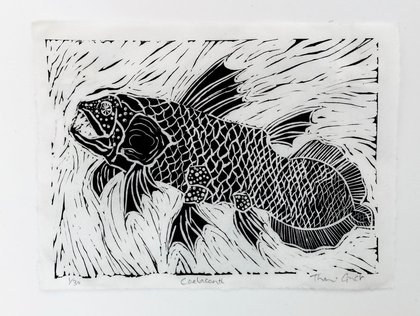 Coelacanth
