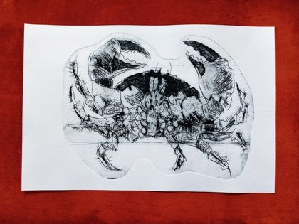 Crab Tetrapak