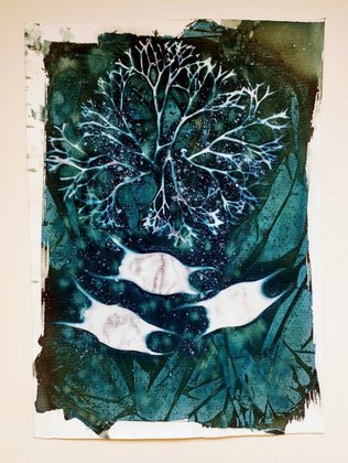 Seaweed and Mermaids Purses Cyanotypes 1