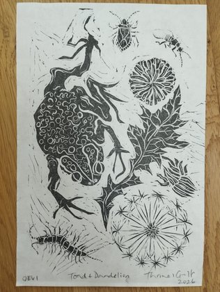 Toad and Dandelion