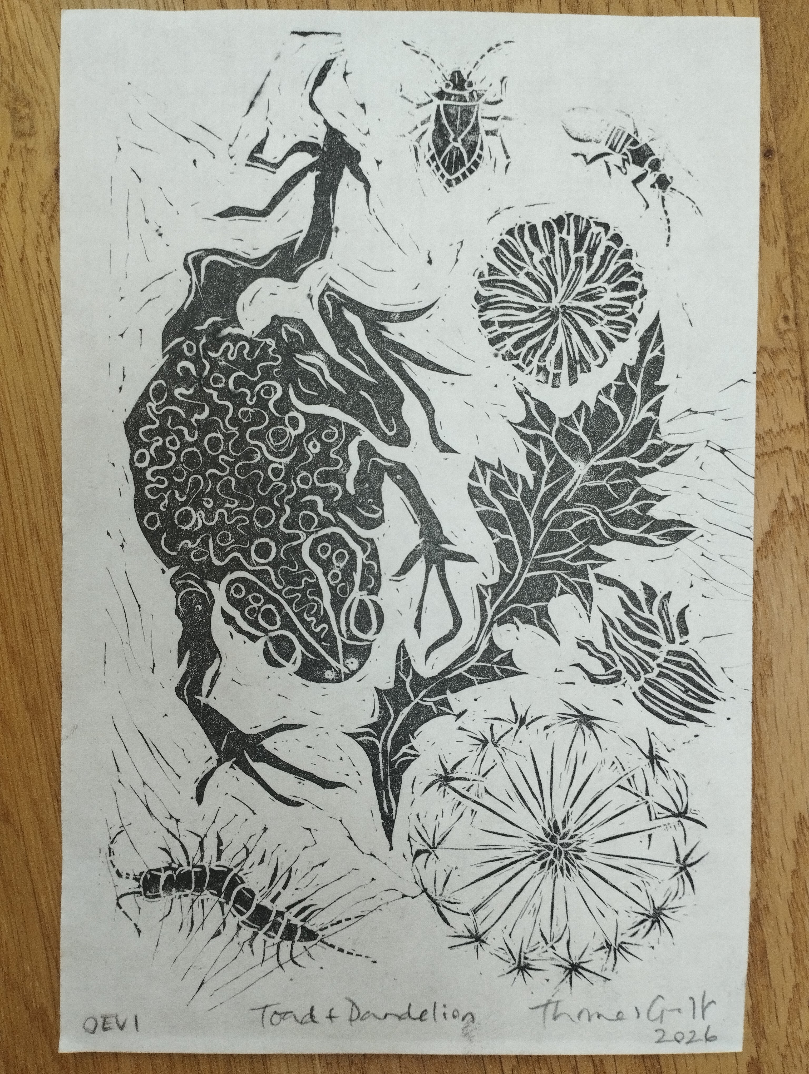 Toad and Dandelion